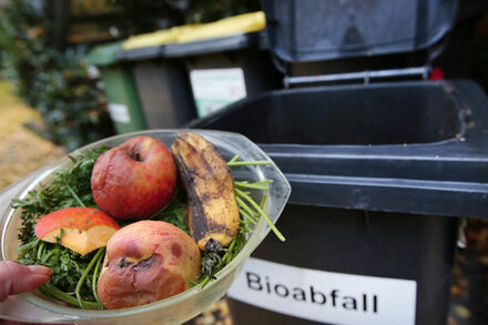 Eine Schale mit Biomüll vor einer Mülltonne.