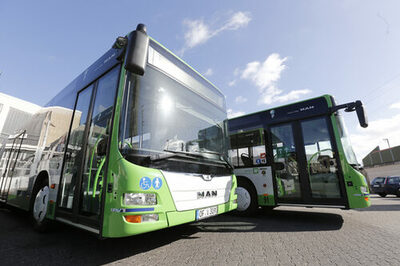 Neue grüne Busse
