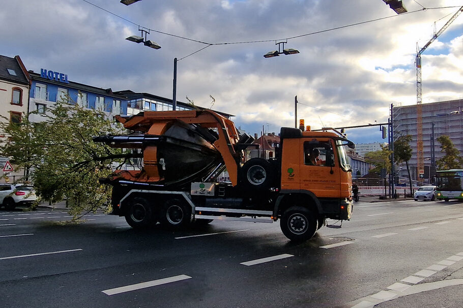 Ein Lastwagen transportiert einen großen Baum.
