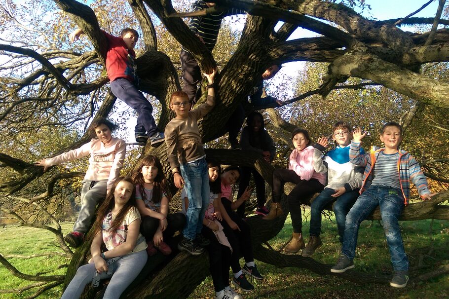 Kinder im Baum