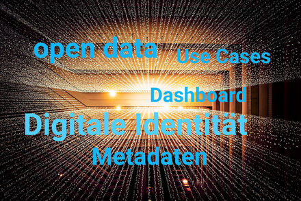Auf einem Foto, aus dessen Mitte Strahlen herausscheinen, stehen die Wörter open data, Digitale Identität, Metadaten. Use Cases und Daesboard.