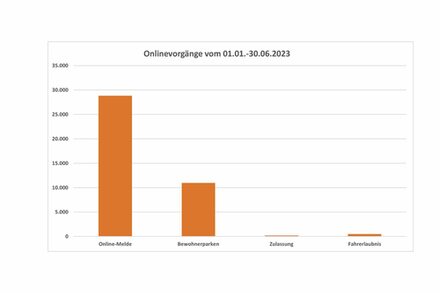 Die Grafik zeigt die Anzahl der Online-Vorgänge im Bürgerbüro, es dominieren im Onlinebereich die Meldevorgänge.