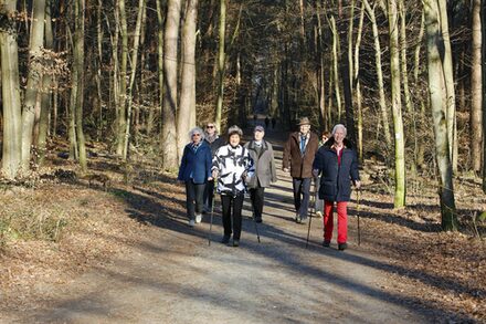 Seniorinnen und Senioren sind mit ihren Nordic Walking Stöcken im Wald unterwegs.