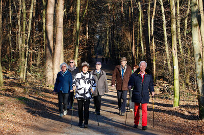 Seniorinnen und Senioren sind mit ihren Nordic Walking Stöcken im Wald unterwegs.
