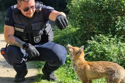 Ein Stadtpolizist mit einem Fuchs.