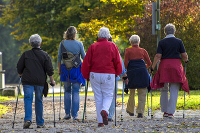 Eine Gruppe von Menschen läuft mit Nordic Walking Stöcken auf einem Weg.