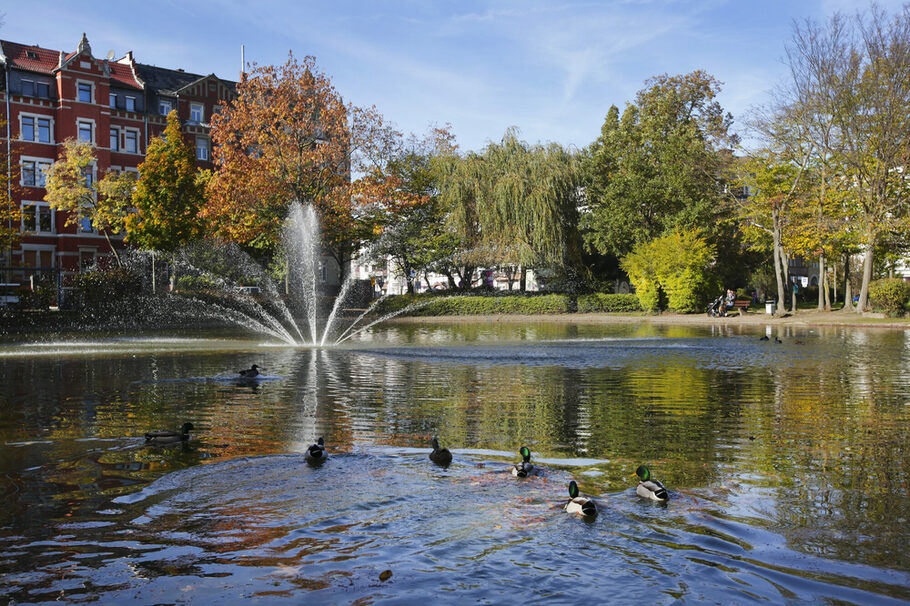 Das Foto zeigt einen Springbrunnen in einem kleinen See in Offenbach.