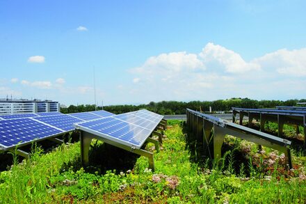 Dachbegrünung und Photovoltaikanlage
