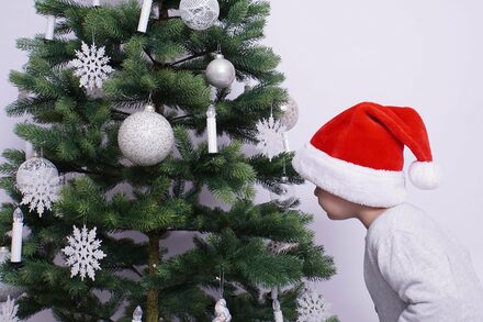 Ein Kind mit Weihnachtsmütze schaut einen geschmückten Weihnachtsbaum an.