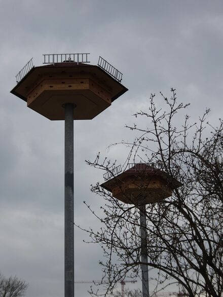 Zwei Artenschutztürme für Vögel und Fledermäuse.