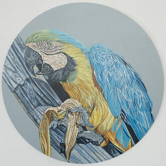 "Papagei" von Christiana Crüger