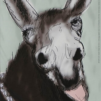 "Esel" von Ulrich Zwick