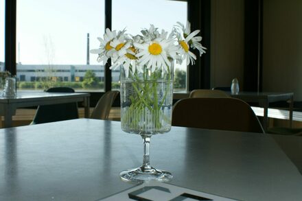 Gänseblümchen im Hafen2 Cafe
