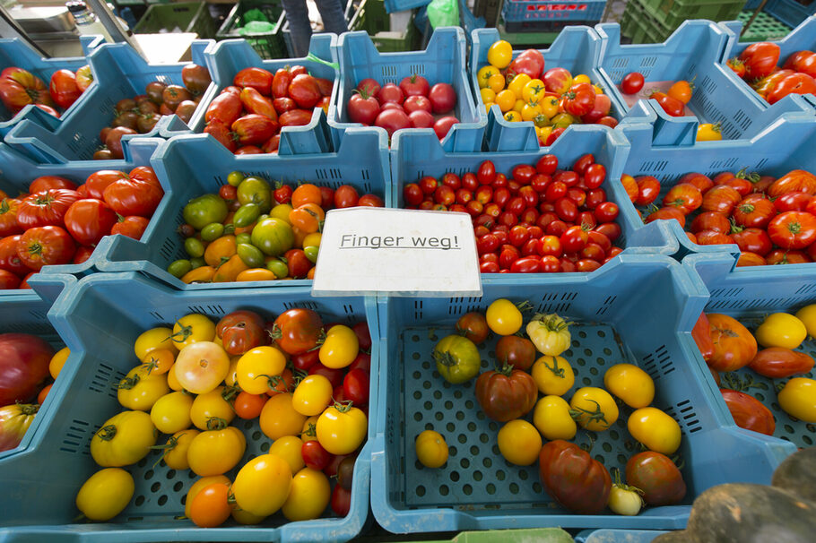 Blaue Kisten mit bunten Tomaten in rot, braun, gelb und grün.