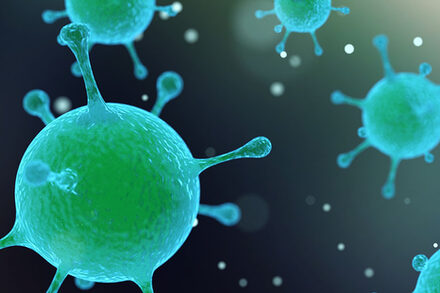 Viele Krankheiten werden über Viren oder Bakterien übetragen