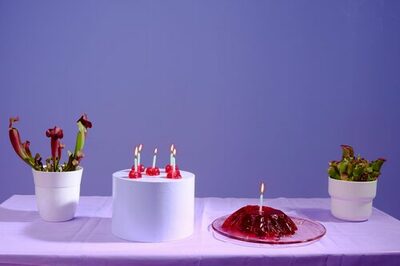 Gedeckter Tisch mit rotem Wackelpudding und Kerzen darauf