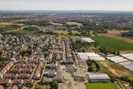 Eine Grafik aus der Vogelperspektive auf Rumpenheim mit der neuen Schule.