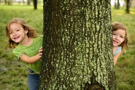 Kinder spielen Versteck hinterm Baumstamm