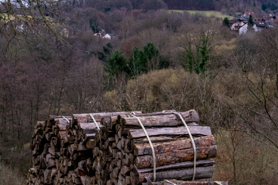 Bild mehrerer zusammengebundener Holzstapel von Jule Wertheimer