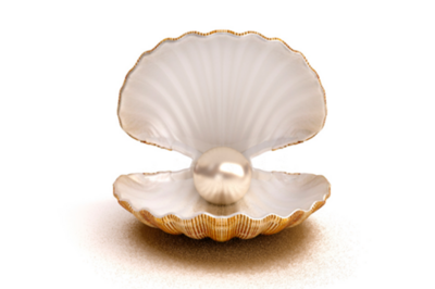 Muschel mit weißer Perle