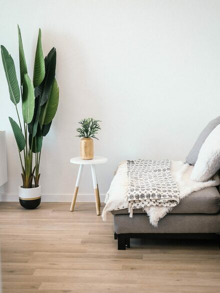 Stockfoto mit einem Wohnbeispiel: Rechts eine graue Couch, in der Mitte ein weißer Beistelltisch, rechts eine große grüne Zimmerpflanze.