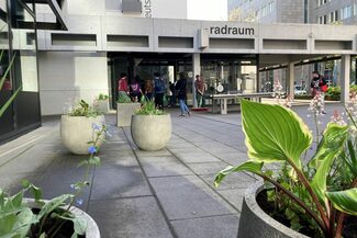 Pflanzenkübel vor dem Rathaus-Pavillon.